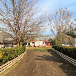 Parcela en Venta en Peñaflor 5.000 m2
